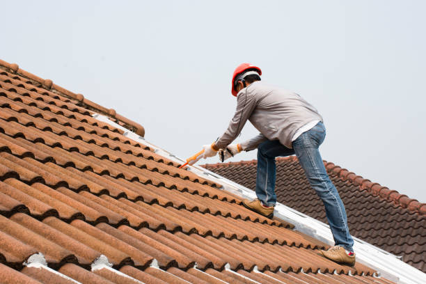 Best Roof Maintenance and Cleaning  in Genoa, AR